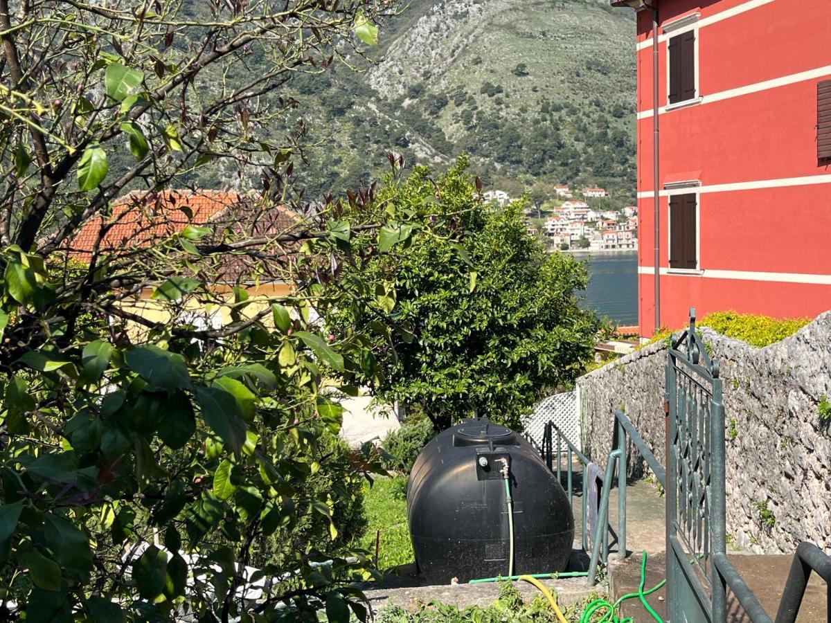 Miramare , Dobrota Seafront Daire Kotor