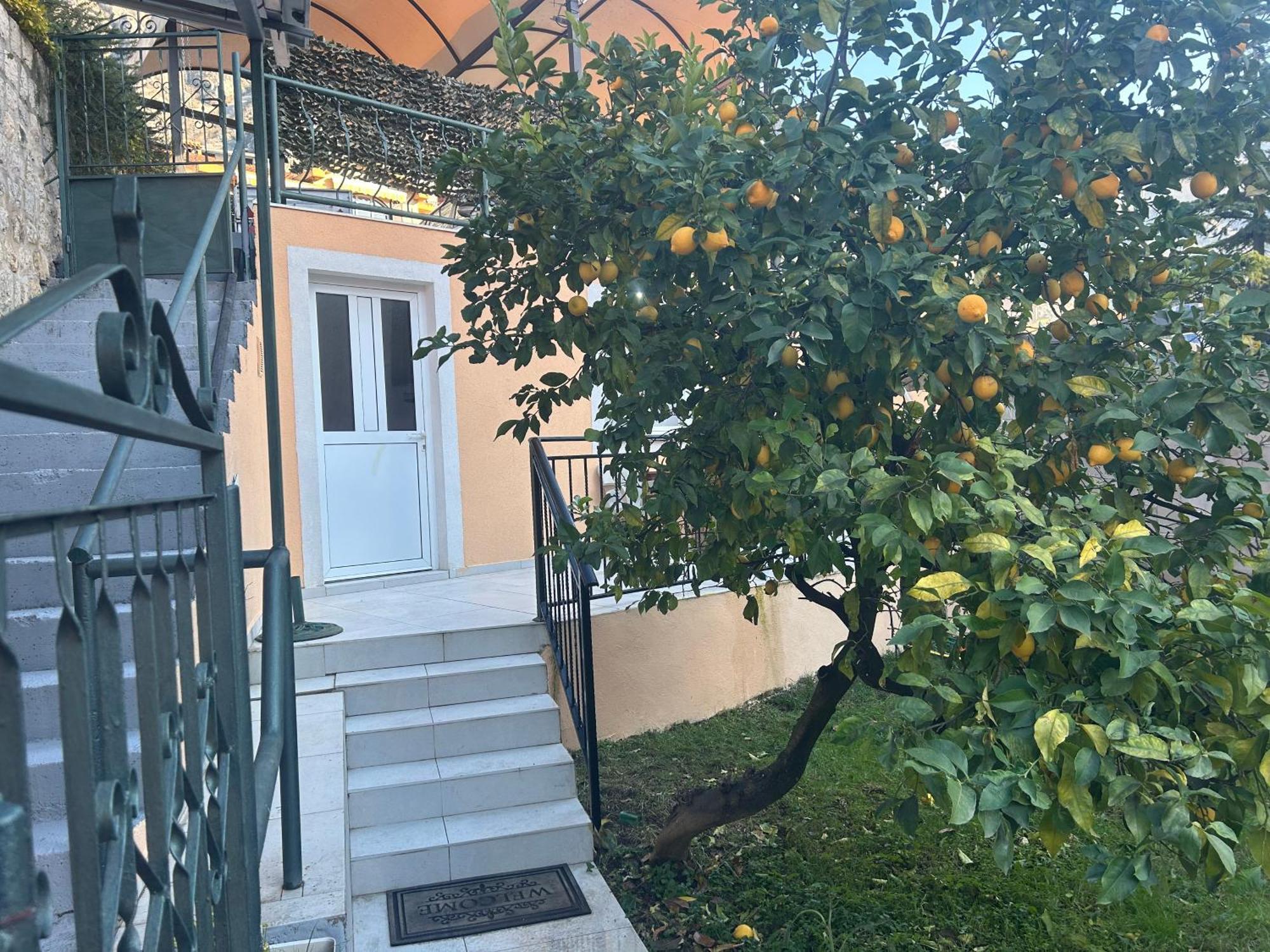 Miramare , Dobrota Seafront * Kotor