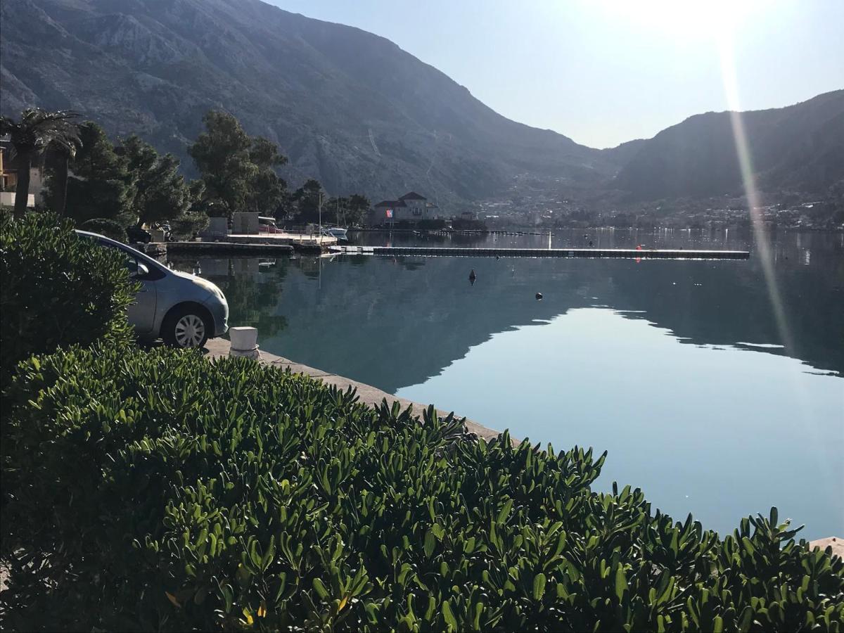 Miramare , Dobrota Seafront * Kotor